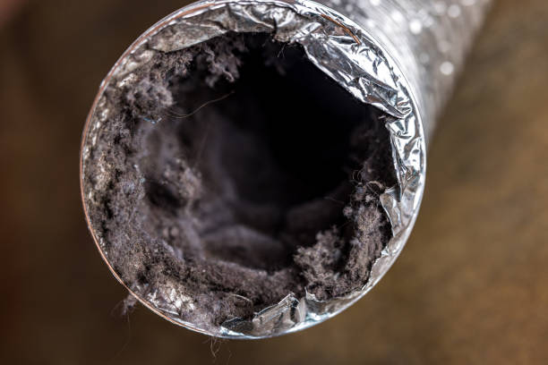 Best HVAC Duct Inspection Services  in Socorro, NM